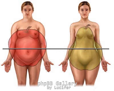 metabolismos