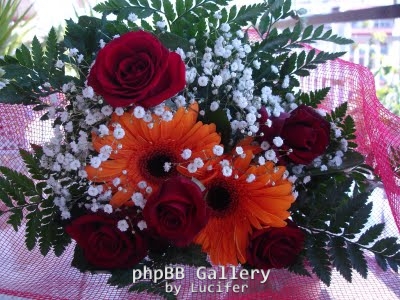 louloudia 029