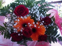 louloudia 029