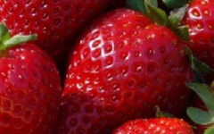 fraoyles