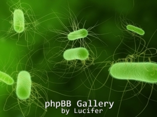 e-coli2