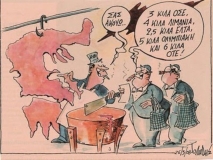 idiotikopoiisi