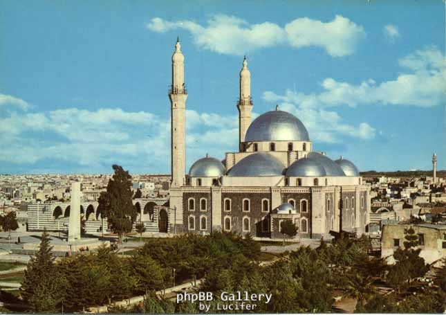 syria-tzami