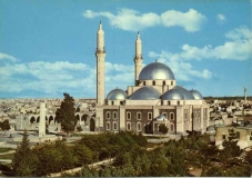 syria-tzami