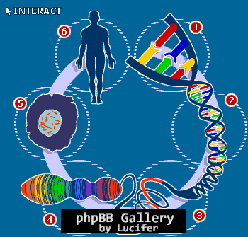 Dna-04-goog