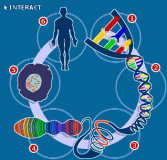 Dna-04-goog