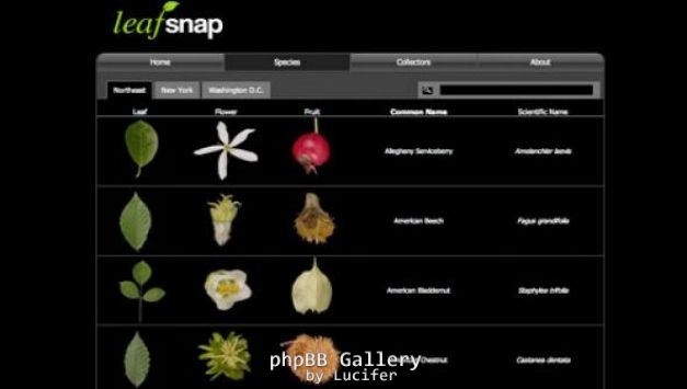 leafsnap
