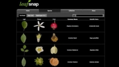 leafsnap