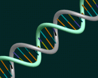 dna rgb