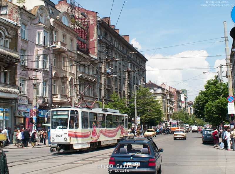 sofia