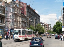 sofia