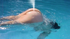 falena1