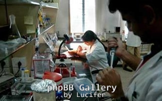 mikrobiologiko1