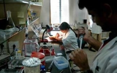 mikrobiologiko1