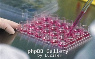 mikrobiologiki-ereyna