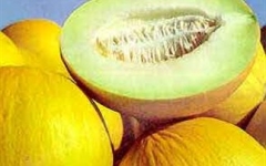 peponi