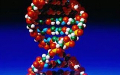dna5