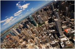 usa-ny