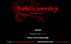 turkguvenligi