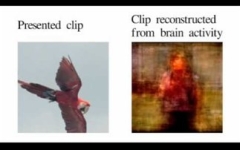 precented-chip