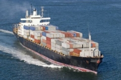 karabi-fortigo