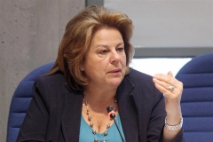 katseli-louka