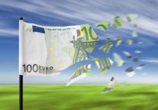 100euroflag