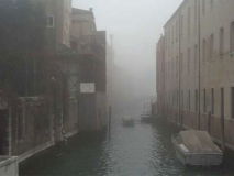 venetia