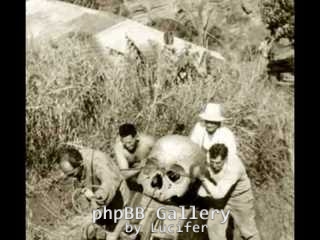 skeletonlarge