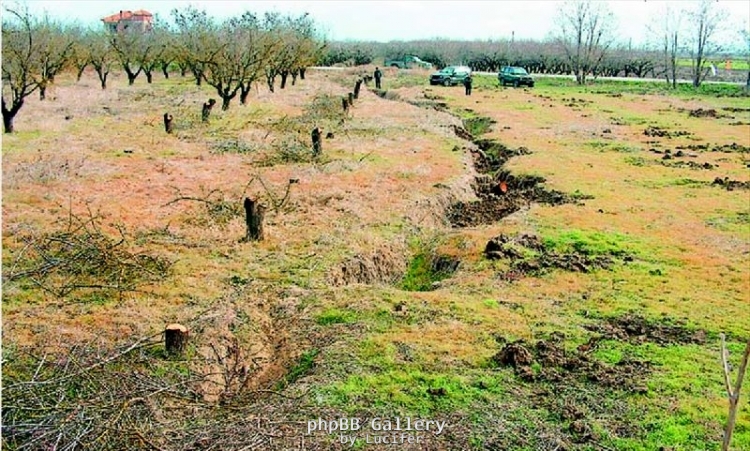 rogmi-perou