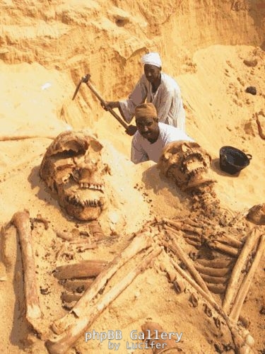 giant bones