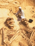 giant bones